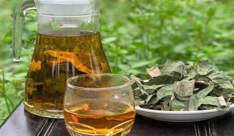 Trà Lá Sen – Thức Uống Thanh Lọc, Hỗ Trợ Giảm Cân Từ Thiên Nhiên